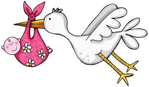 khadfield_stork